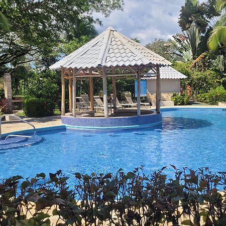 Tropical Bliss Pool Wi-Fi Bbq Near Quepos Manuel Antonio Daire Dış mekan fotoğraf