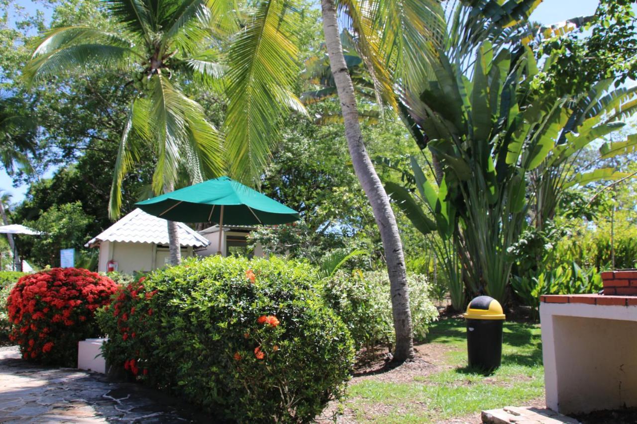 Tropical Bliss Pool Wi-Fi Bbq Near Quepos Manuel Antonio Daire Dış mekan fotoğraf